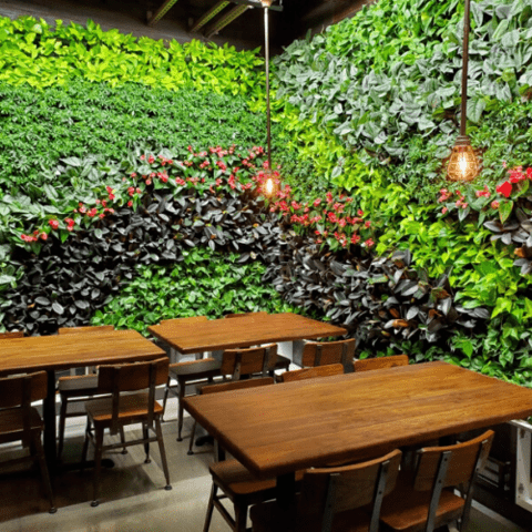 GSky Plant Systems