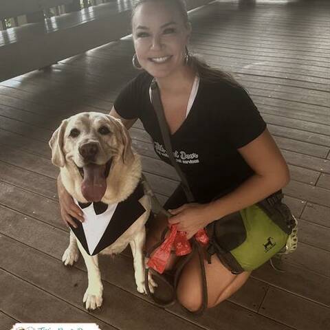 Jill's Next Door Dog Walking & Pet Services