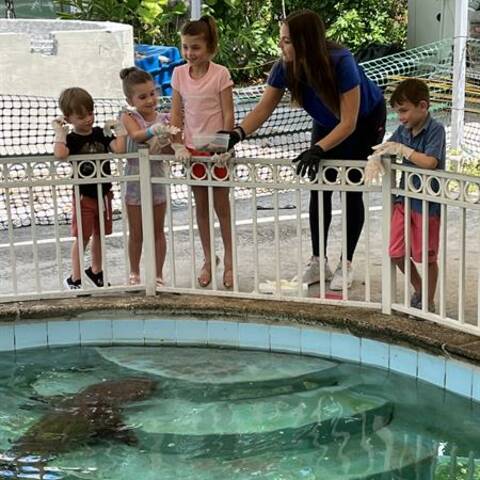 Sandoway Discovery Center