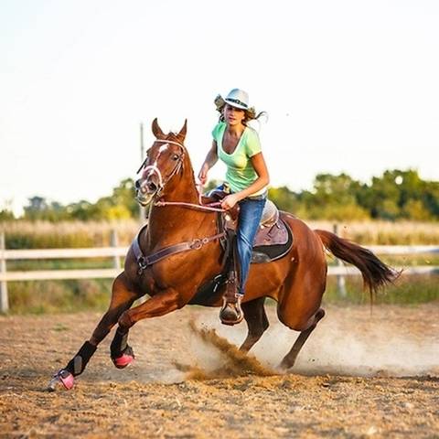 Sunshine Meadows / Delray Equestrian Center