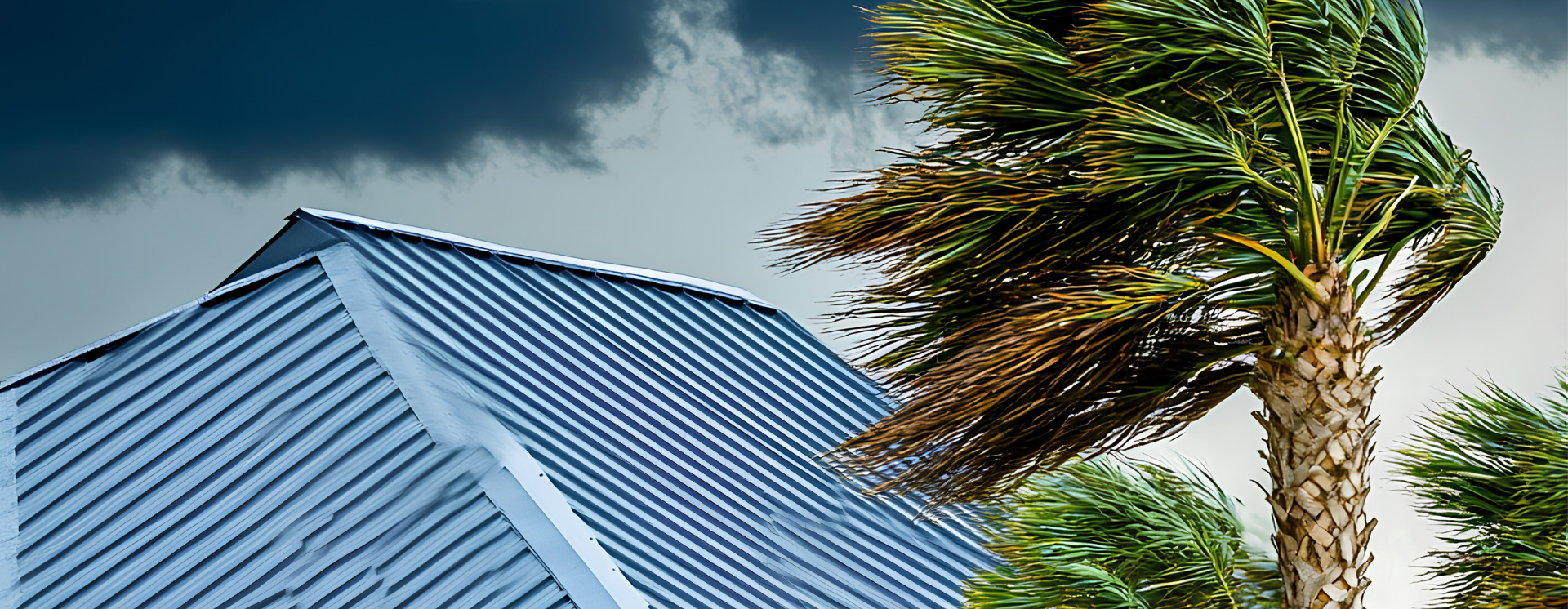Hurricane Preparedness Guide